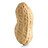 antoine_tl