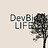 DevBigLife