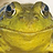 Froggydog10