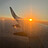 GFox0622