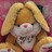 Haase0815