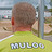 Muloo