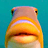 pineapplefish pineapplefish