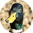 pluckmyduck