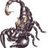 Scorpioo42