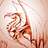 Shawn_T